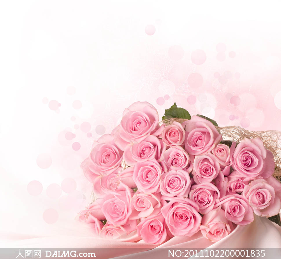 粉色玫瑰花束摄影图片 - 大图网设计素材下载