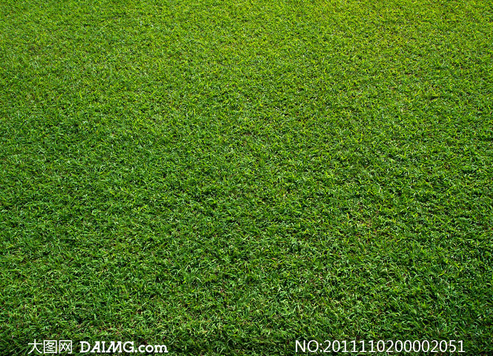 绿色草地草坪图片素材 - 大图网设计素材下载