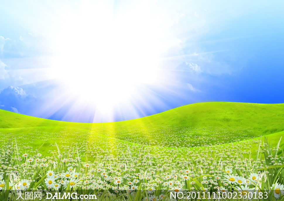 山坳里的鲜花自然风景高清摄影图片 - 大图网设