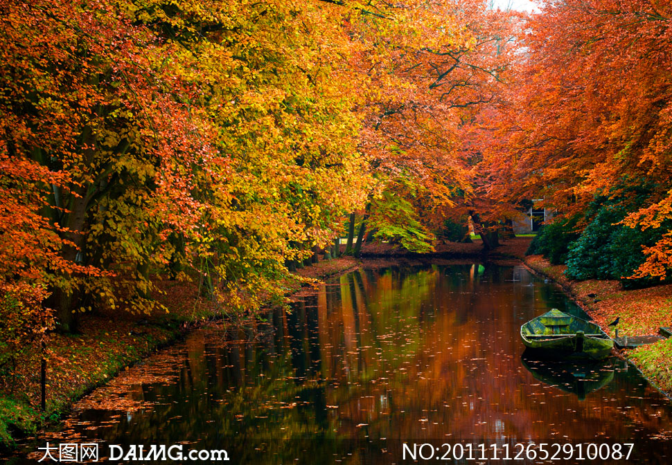 公园里的秋天自然风景高清摄影图片 - 大图网设
