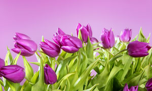 高清图片素材 - 大图网设计素材下载