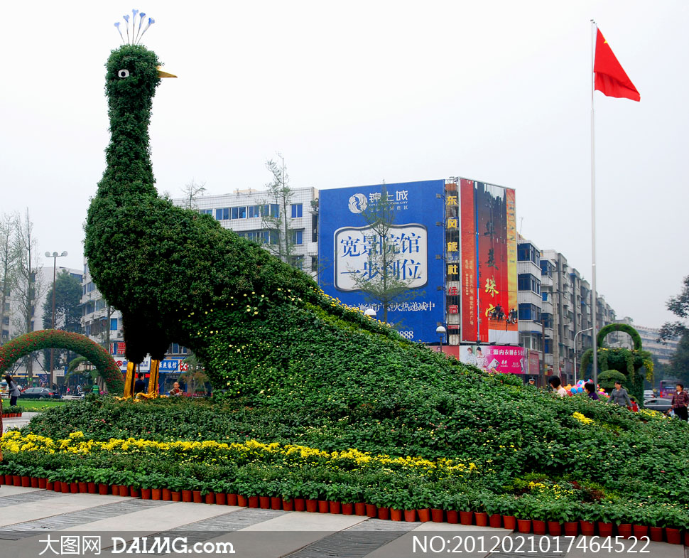 四川成都孔雀花艺景观高清摄影图片 - 大图网设