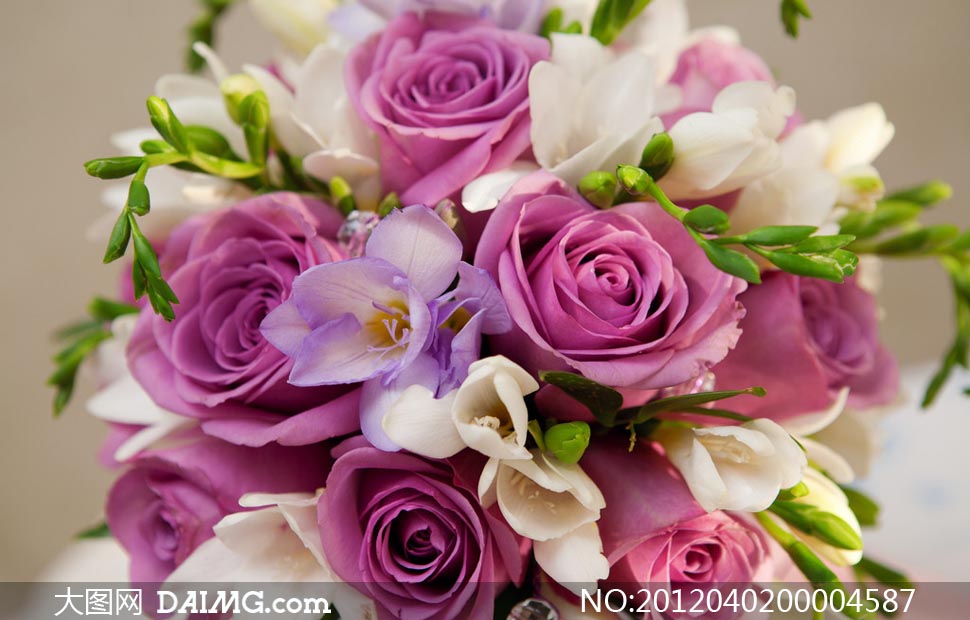 情人节玫瑰花花束摄影图片 - 大图网设计素材下