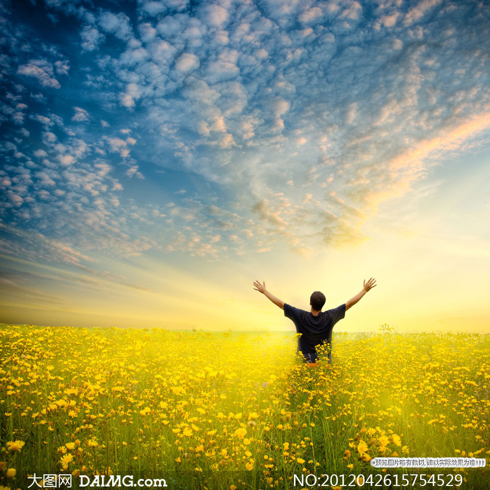 站在花丛中的男人背影高清摄影图片 - 大图网设