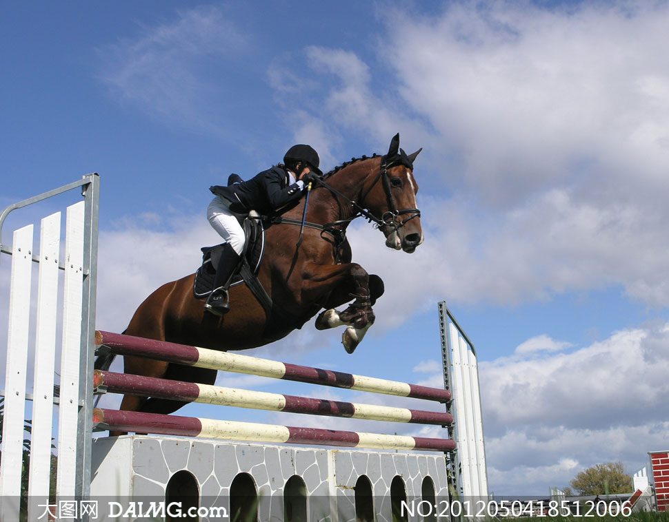 跨越障碍的马术运动员高清摄影图片