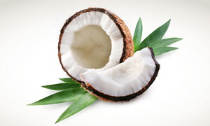 静物特写 - 高清图片 - 大图网设计素材下载