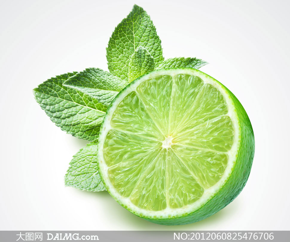 薄荷叶绿色绿叶叶子切面剖面