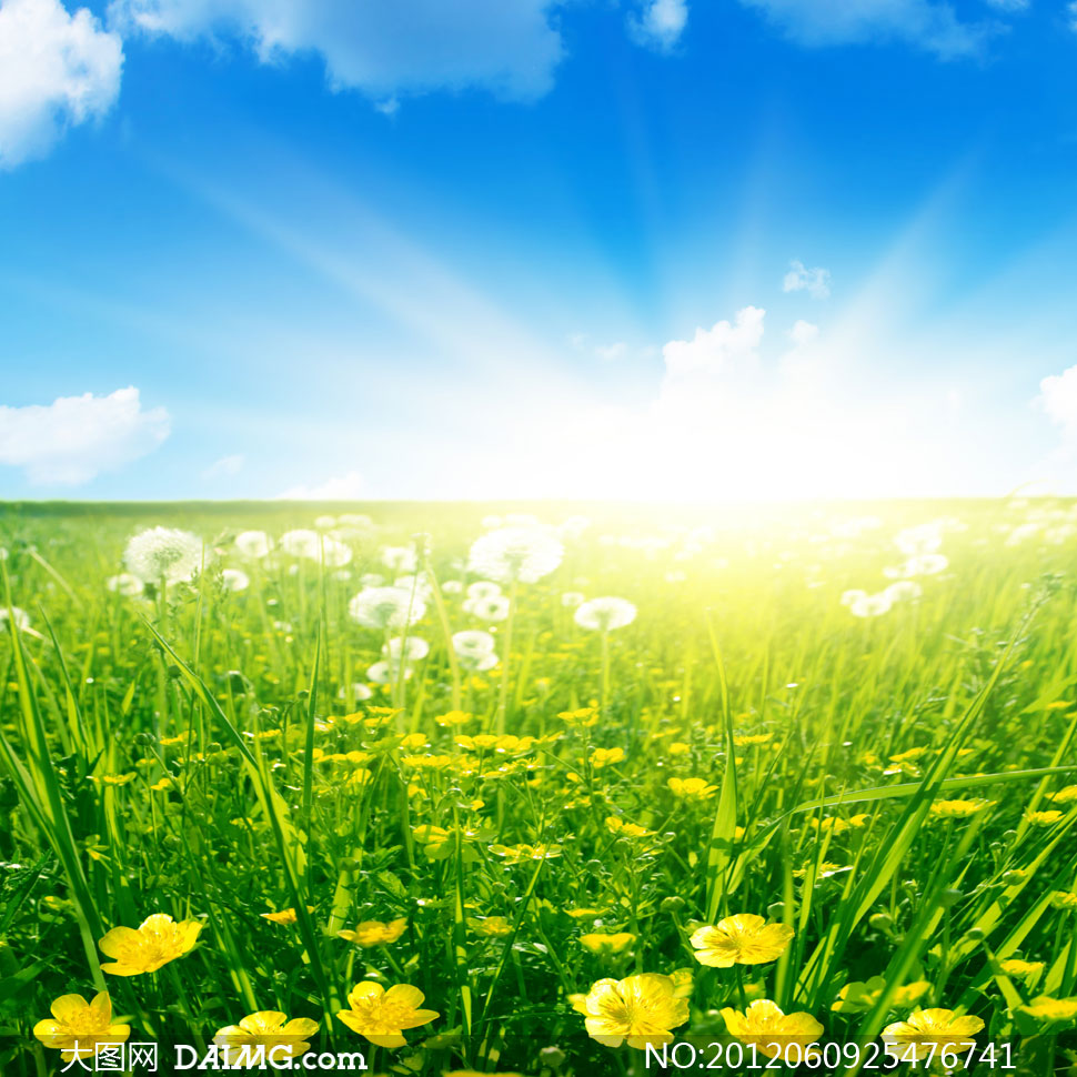 壁纸操作系统安卓android您身