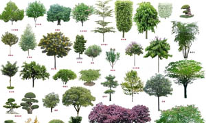 环境设计 -PSD素材 - 大图网设计素材下载