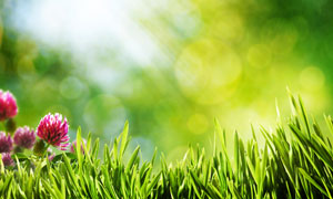 3-120R31622150-L.jpg