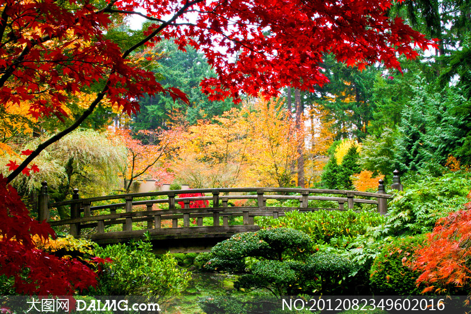 姹紫嫣红的秋天风景摄影高清图片 - 大图网设计