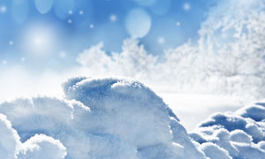 冰雪覆盖的地面与树林摄影高清图片 - 大图网设